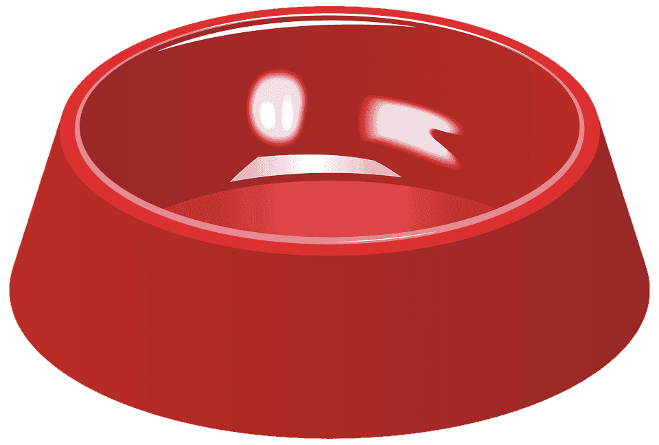 Mon chat gratte autour de la gamelle : Pourquoi et que faire ?