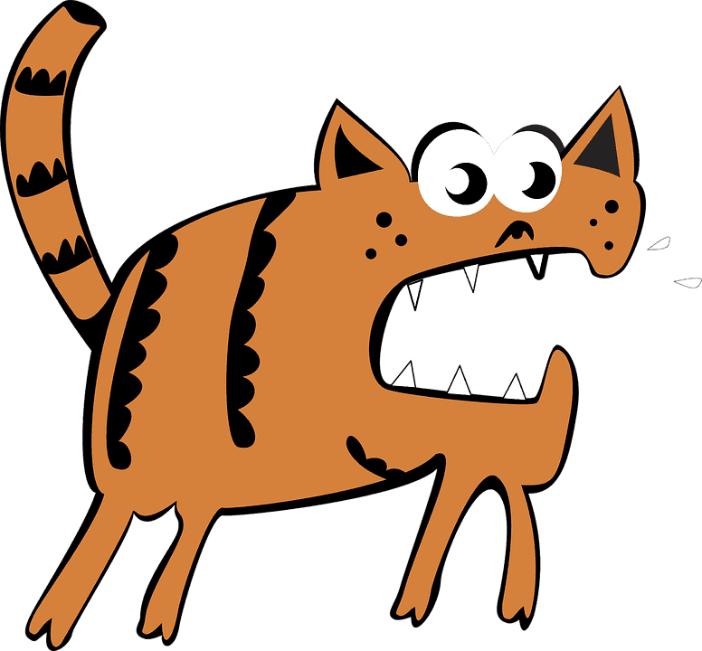 Chat qui a mal au ventre : Pourquoi et que faire ?