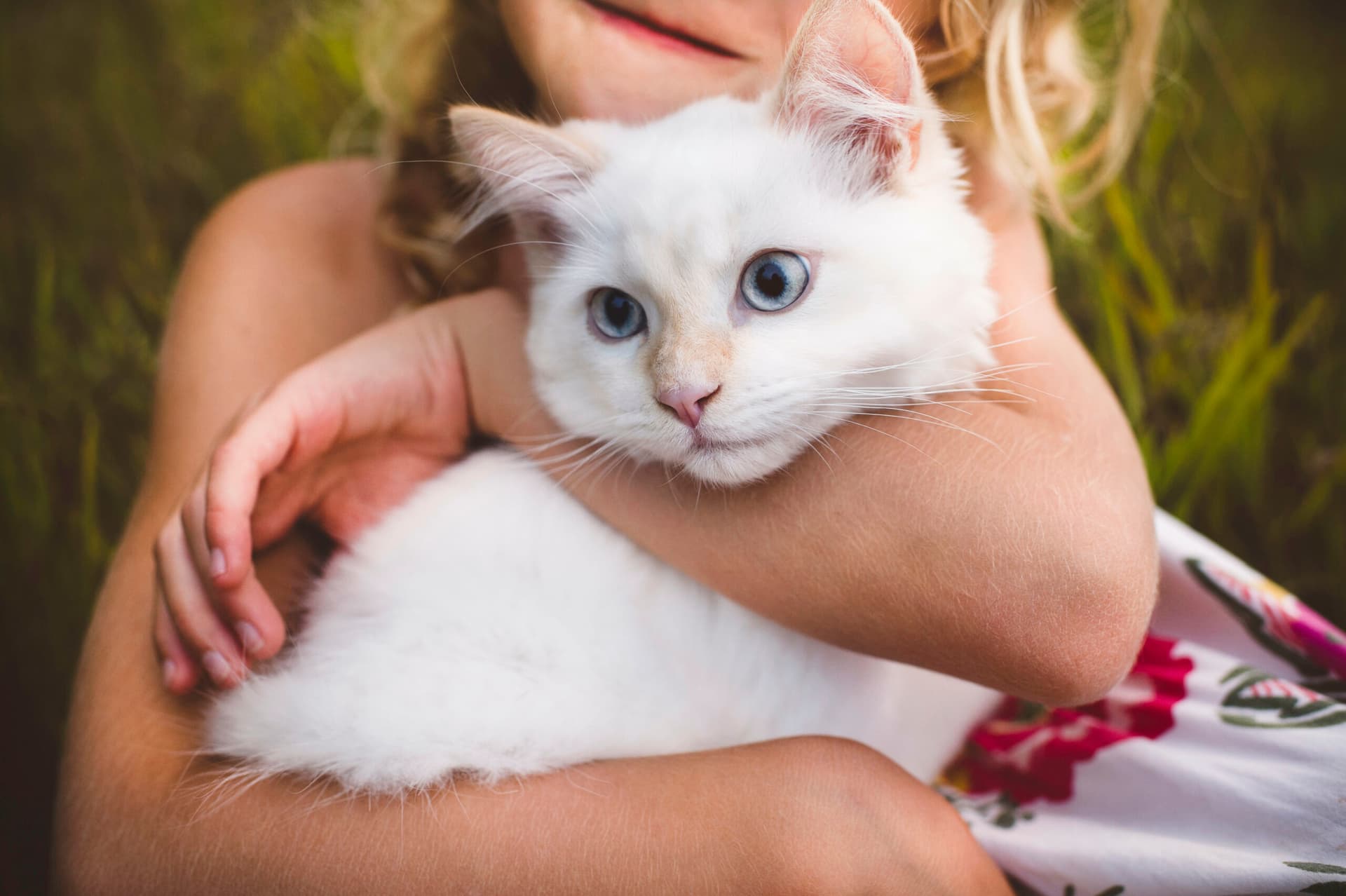 Cropped view of girl hugging cat
