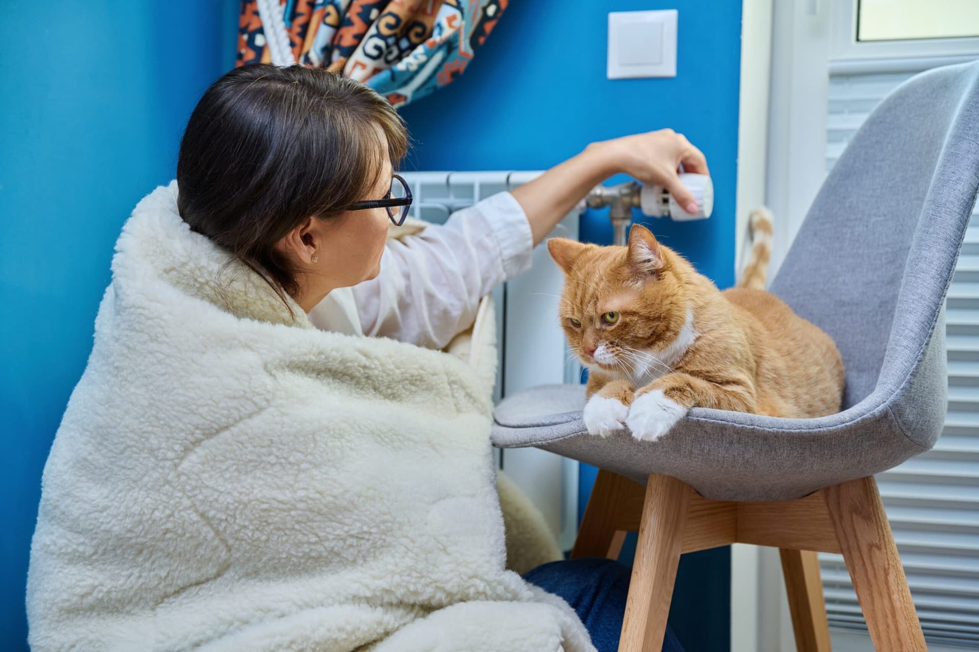 Comment choisir une bonne assurance chat ?