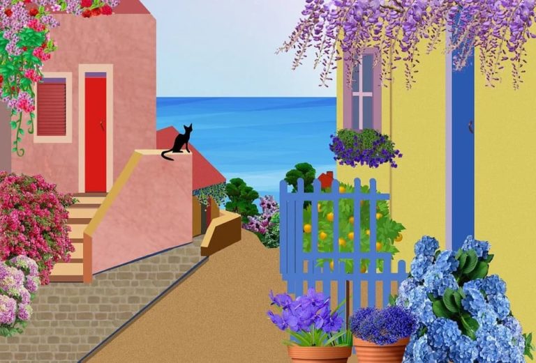rafraichir un chat en été