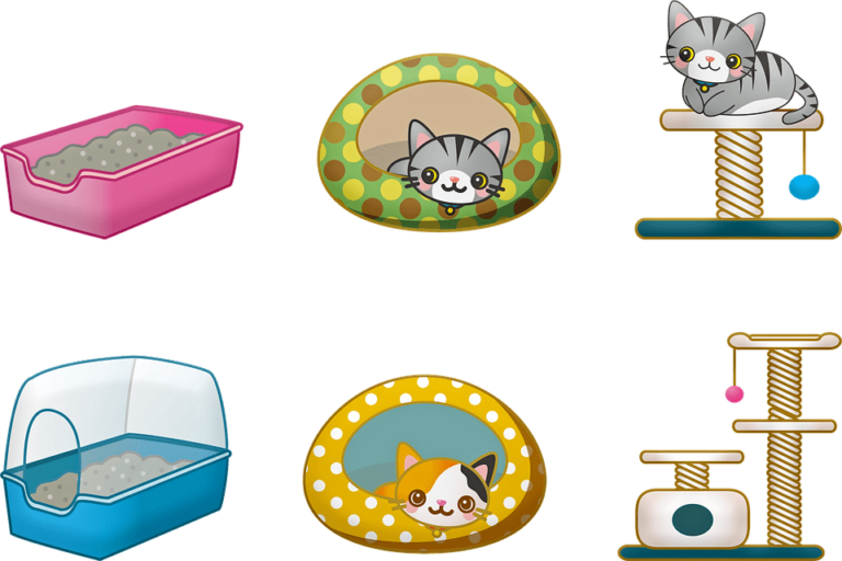 chat mange sa litiere