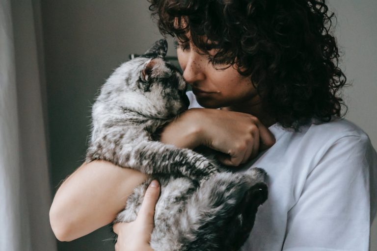 Chat qui ne ronronne pas : Comprendre et agir Chat qui ne ronronne pas : Comprendre et agir