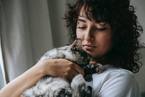 Chat qui ronronne fort : Comprendre et agir