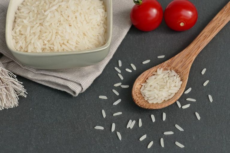 donner riz chat