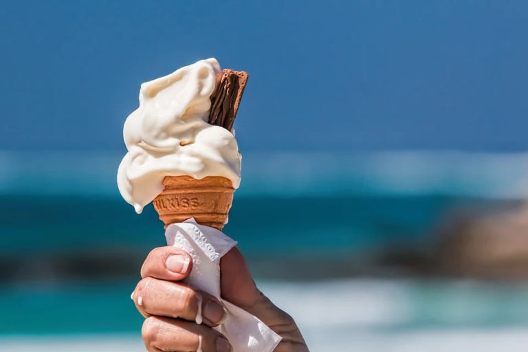 glace et chat
