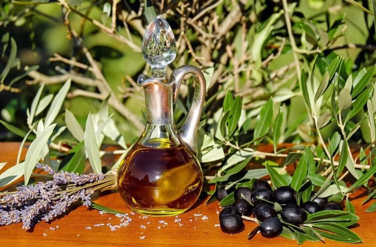 Donner de l’huile d’olive a son chat : Tout ce qu’il faut savoir