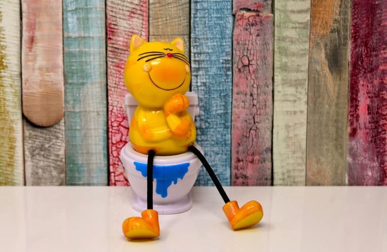 Ou jeter la litière du chat ?