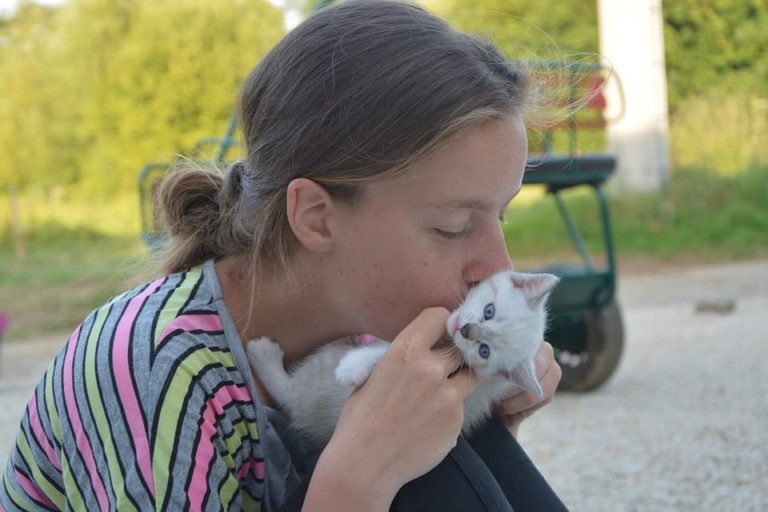 Les chats comprennent ils les bisous ? Les chats comprennent ils les bisous ?
