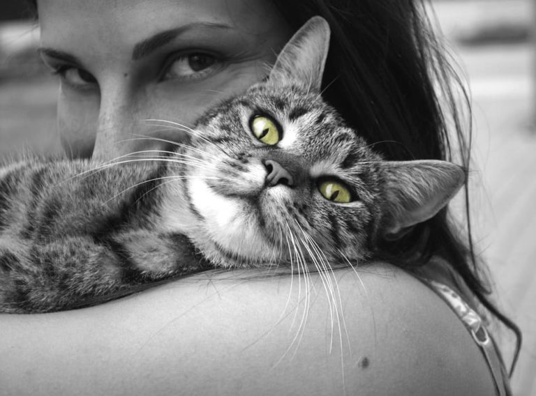 Comment montrer à son chat qu’on l’aime ? Je vous dis tout