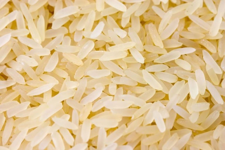 Vers du chat en forme de grain de riz : Pourquoi et que faire ?