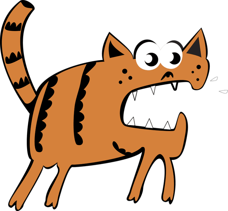 Chat qui a mal au ventre : Pourquoi et que faire ?