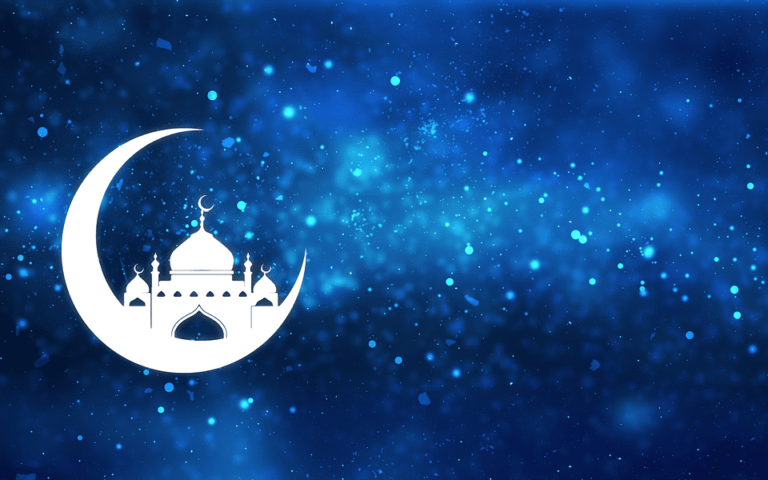 Le chat en Islam : Tout ce qu’il faut savoir