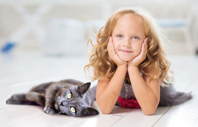 Relation fusionnelle avec mon chat : Tout ce qu’il faut savoir