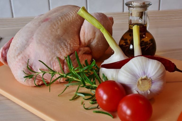 Faut-il donner du poulet cru a son chat ?
