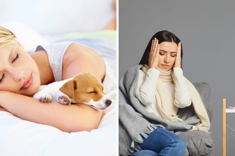 Découvrez les maladies que votre chien ou votre chat peut transmettre s’il dort dans votre lit Découvrez les maladies que votre chien ou votre chat peut transmettre s’il dort dans votre lit