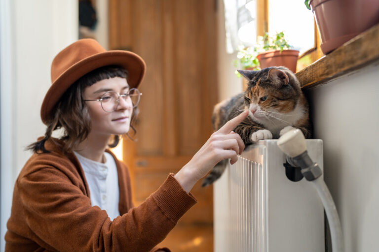 Top 5 des jeux favoris des chats qui se déplacent en jouant.