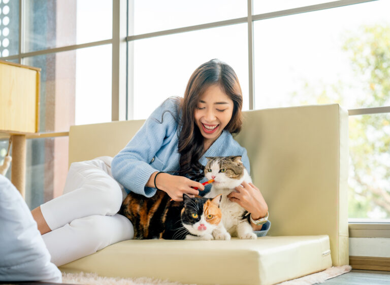 Saisir le langage du chat lors des jeux