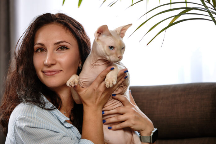 Chat Minskin