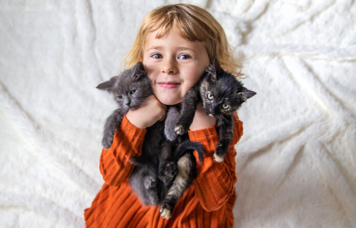 éducation de votre chaton
