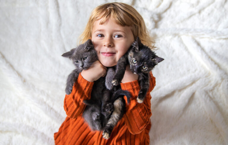 éducation de votre chaton