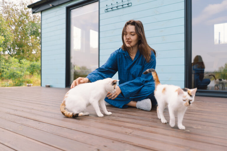chat heureux et équilibré