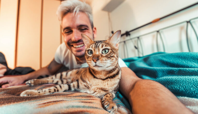 erreurs à éviter avec votre chat